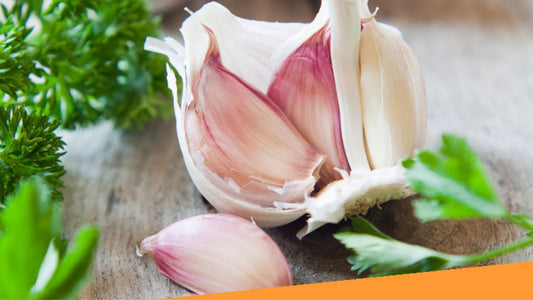 Chesnok Red Garlic–Infused Gourmet Creation