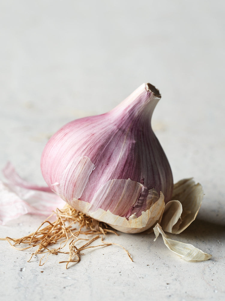 Garlic - PREORDER FOR SHIPMENT SEPT 2026